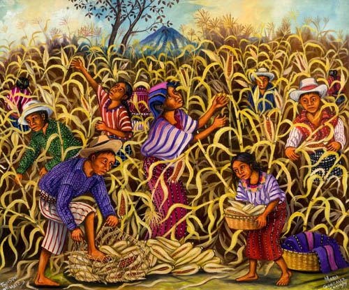 Artemaya Catalog MRO-514